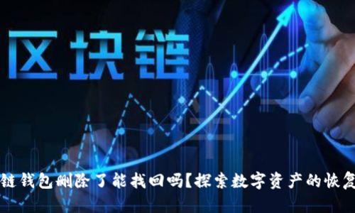 区块链钱包删除了能找回吗？探索数字资产的恢复方法
