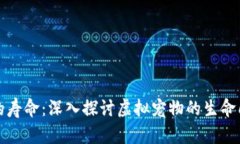 区块链宠物的寿命：深入