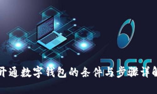 开通数字钱包的条件与步骤详解