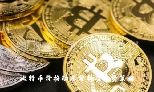 比特币价格动态分析及投资策略