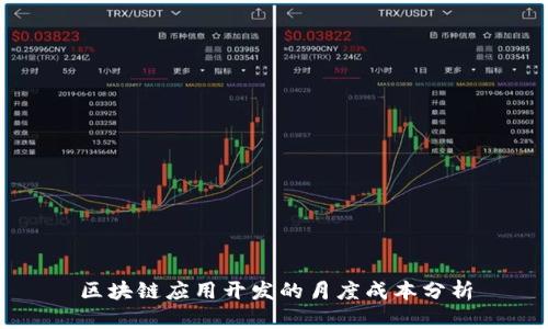 区块链应用开发的月度成本分析