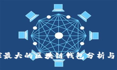 全球最大的区块链钱包分析与展望