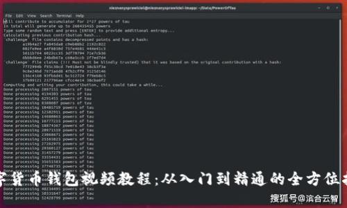 数字货币钱包视频教程：从入门到精通的全方位指南