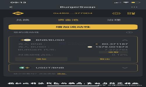 揭秘比特派钱包的骗局：真相与防范措施