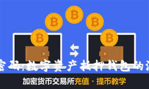 掌握财富密码：数字资产抵押钱包的潜力与实践