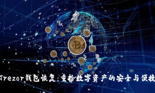 Trezor钱包恢复：重拾数字资产的安全与便捷
