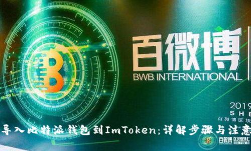 轻松导入比特派钱包到ImToken：详解步骤与注意事项