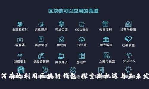 如何有效利用区块链钱包：探索新机遇与未来发展