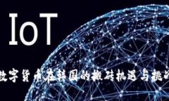 数字货币在韩国的搬砖机遇与挑战