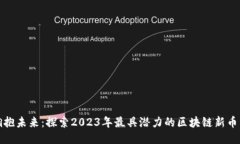 拥抱未来：探索2023年最具潜力的区块链新币种