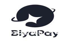 探索ImToken 2.0观察钱包：掌