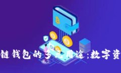 : 探索区块链钱包的多元用途：数字资产的守护者