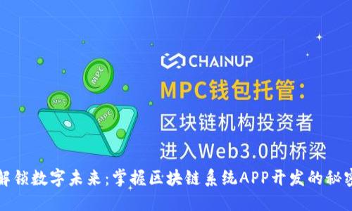 解锁数字未来：掌握区块链系统APP开发的秘密