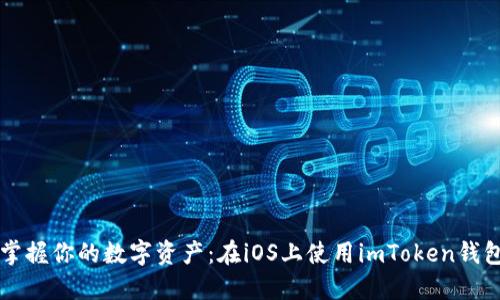 掌握你的数字资产：在iOS上使用imToken钱包
