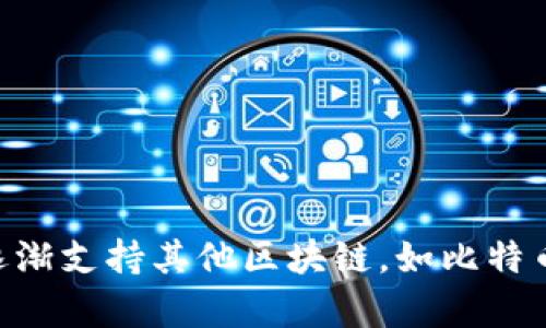 imToken钱包的名称就是“imToken”。它是一款广受欢迎的数字资产钱包，专注于支持Ethereum及其各种代币，并且也逐渐支持其他区块链，如比特币等。imToken提供安全、便捷的数字资产管理解决方案，用户可以通过这款钱包方便地进行加密货币的存储、转账和交易。