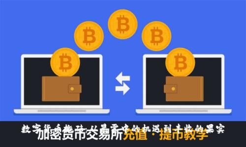 数字货币搬砖：从晨雾中的机遇到丰收的果实