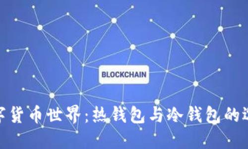 探索数字货币世界：热钱包与冷钱包的选择之道