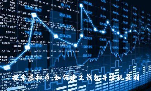 探索虚拟币：如何建立钱包并实现盈利