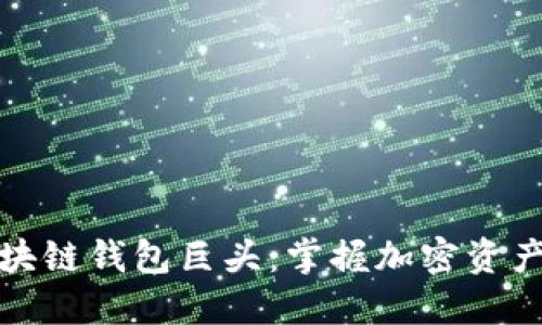 全球区块链钱包巨头：掌握加密资产的钥匙