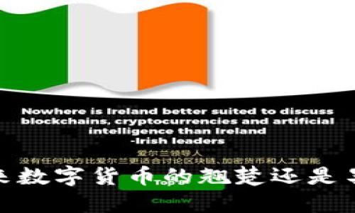 派币：未来数字货币的翘楚还是昙花一现？