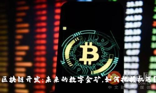 区块链开发：未来的数字金矿，如何把握机遇？