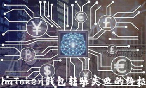 
解决imToken钱包转账失败的终极指南