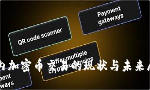 国内加密币交易的现状与未来展望