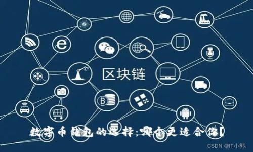 数字币钱包的选择：哪个更适合你？