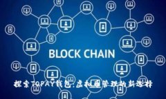 探索TOPAY钱包：虚拟币管理的新选择