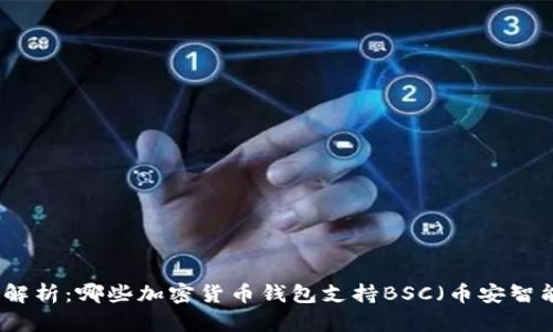 全面解析：哪些加密货币钱包支持BSC（币安智能链）