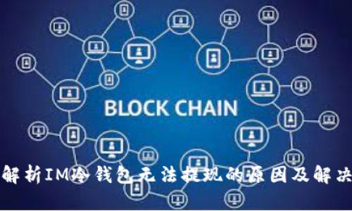 深度解析IM冷钱包无法提现的原因及解决方案