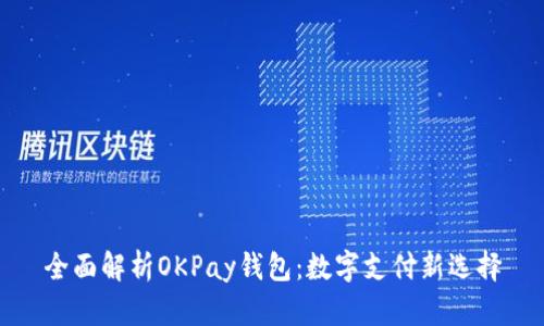 全面解析OKPay钱包：数字支付新选择