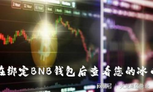 如何在绑定BNB钱包后查看您的冰币余额