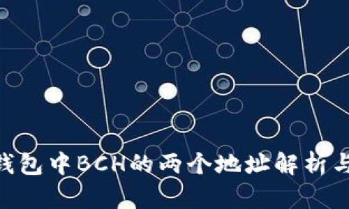 imToken钱包中BCH的两个地址解析与使用攻略