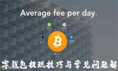 数字钱包提现技巧与常见问题解析