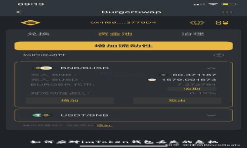 如何应对imToken钱包丢失的危机