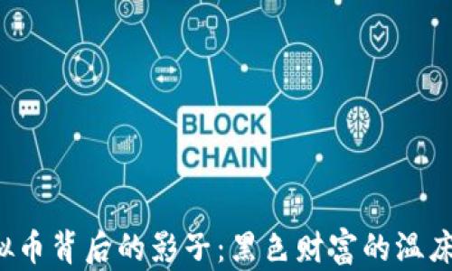 
虚拟币背后的影子：黑色财富的温床吗？