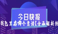 区块链钱包里存哪个靠谱？全面解析热门选择