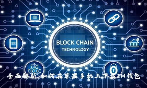 全面解析：如何在苹果手机上下载IM钱包