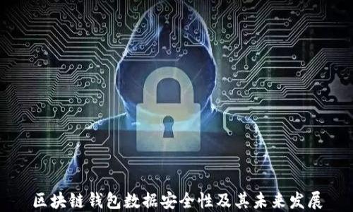 
区块链钱包数据安全性及其未来发展