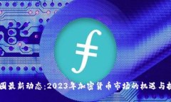 币圈最新动态：2023年加密