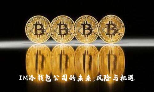 IM冷钱包公司的未来：风险与机遇