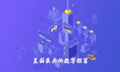 美国最大的数字推荐